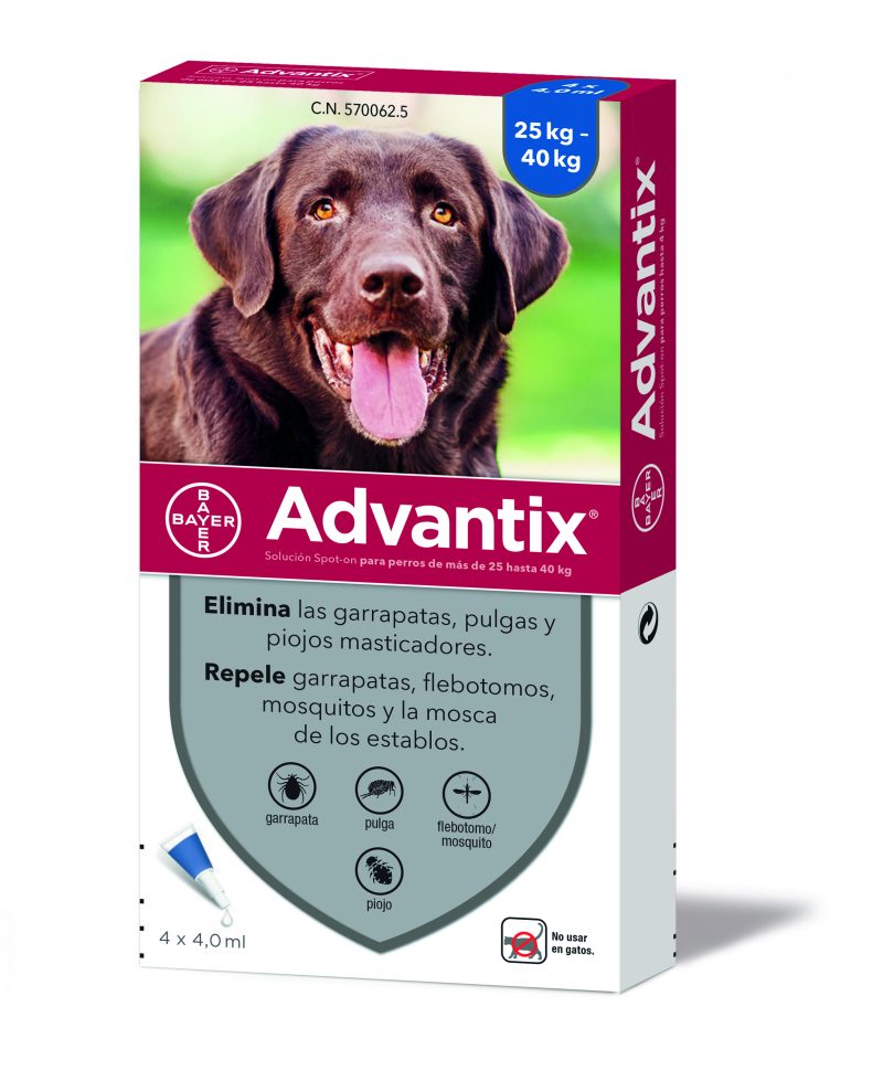 אדוונטיקס אמפולות נגד פרעושים וקרציות לכלבים גדולים 25 + ק"ג Advantix