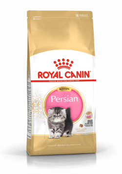 רויאל קנין לגורי חתול פרסי 4 ק"ג Royal Canin Persian Kitten