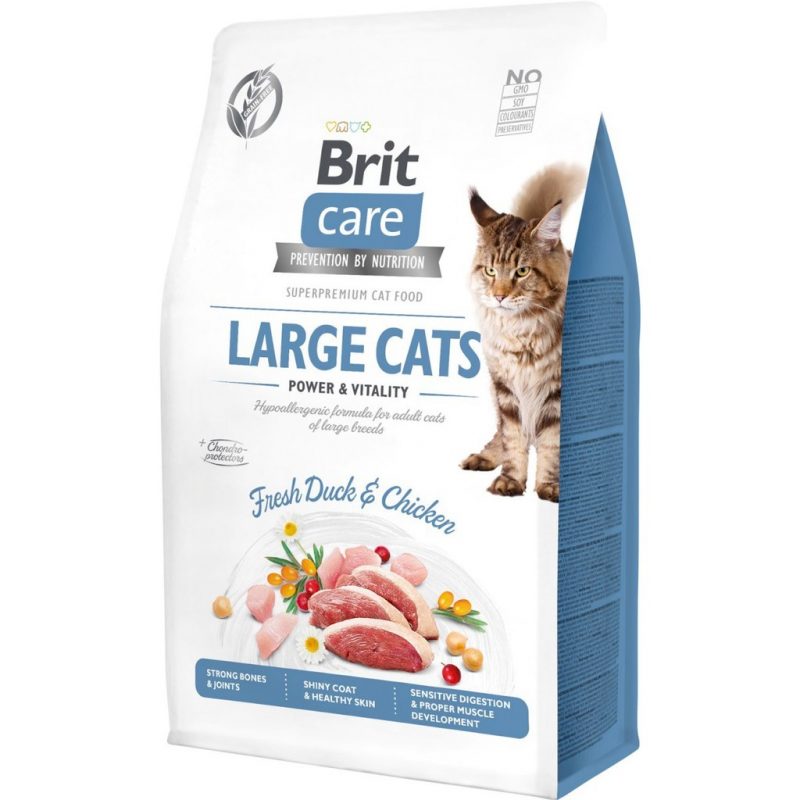 בריט קר חתול בוגר "גדול" נטול דגנים 2 ק"ג Brit Care
