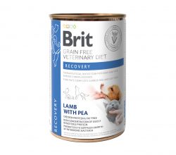 בריט תזונה וטרינרית לחתולים/כלבים ריקברי שימורים 400 גרם Brit Veterinary Diet
